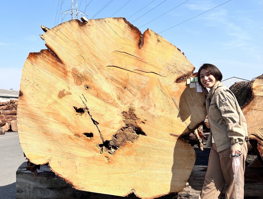 失われた銘木文化を新たに創り日本の田舎を元気に！！ 百年木材プロジェクト